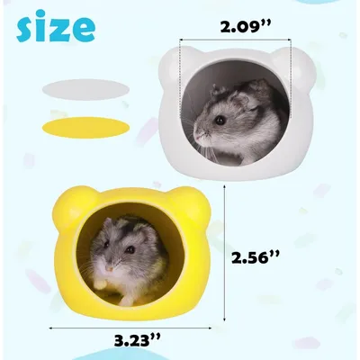 ZooVenture Lot 2 Refuges Hamster Ceramique Bleu Rose