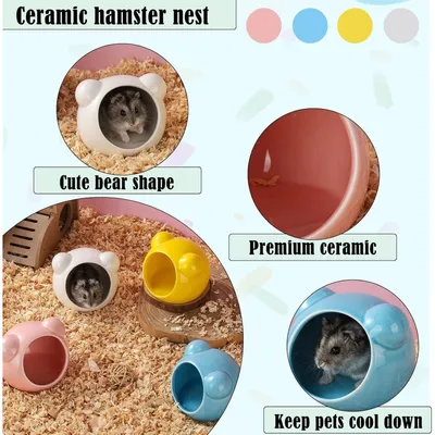 ZooVenture Lot 2 Refuges Hamster Ceramique Bleu Rose