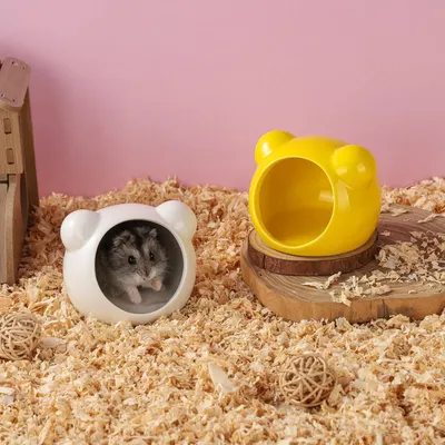 ZooVenture Lot 2 Refuges Hamster Ceramique Blanc Jaune