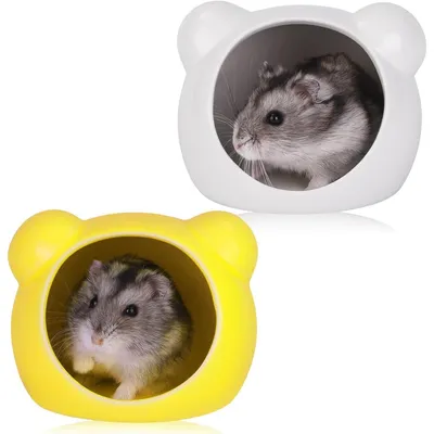 ZooVenture Lot 2 Refuges Hamster Ceramique Bleu Rose