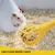 ZooVenture Lot 2 Pince Hamster Anti-Morsure Jaune Bleu