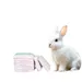 ZooVenture Couches Animal - Absorbantes, Indicateur, Respirantes