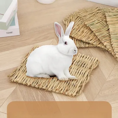 FurryFusion Tapis en paille et nids pour petits animaux FurryFusion Tapis en paille et nids pour petits animaux