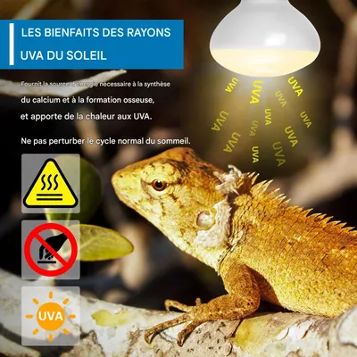 Zoomtopia Ampoule chauffante UVA pour terrarium 75W E27 R80 reptile Zoomtopia Ampoule chauffante UVA pour terrarium 75W E27 R80 reptile