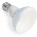 Zoomtopia Ampoule chauffante UVA pour terrarium 75W E27 R80 reptile