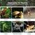 Zoomtopia Ampoule chauffante UVA pour terrarium 75W E27 R80 reptile Zoomtopia Ampoule chauffante UVA pour terrarium 75W E27 R80 reptile
