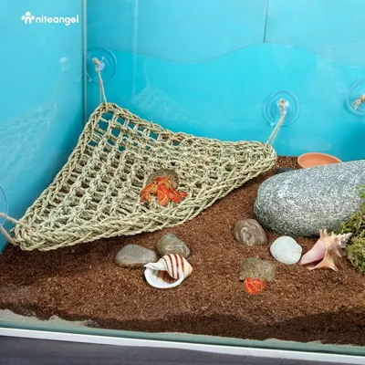 Hamac Reptile PetTribes - Hamac Séchée au Soleil pour Lézards Hamac Reptile PetTribes - Hamac Séchée au Soleil pour Lézards