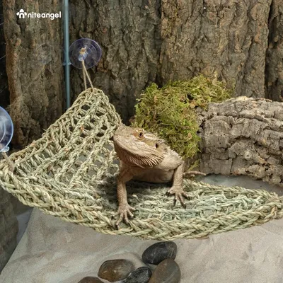 Hamac Reptile PetTribes - Hamac Séchée au Soleil pour Lézards Hamac Reptile PetTribes - Hamac Séchée au Soleil pour Lézards