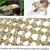Hamac Reptile PetTribes - Hamac Séchée au Soleil pour Lézards Hamac Reptile PetTribes - Hamac Séchée au Soleil pour Lézards