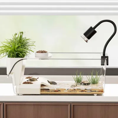 FurryFusion Aquarium pour tortue de grande capacité FurryFusion Aquarium pour tortue de grande capacité