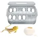 Zoomtopia Boîte incubateur reptile 12 œufs ABS 16,5x11x5cm