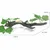 FurryFusion Décoratif en branches pour terrarium de reptiles