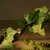 FurryFusion Décoratif en branches pour terrarium de reptiles