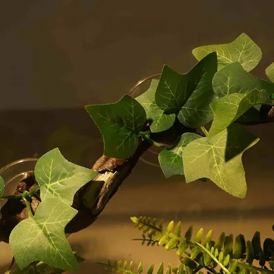 FurryFusion Décoratif en branches pour terrarium de reptiles