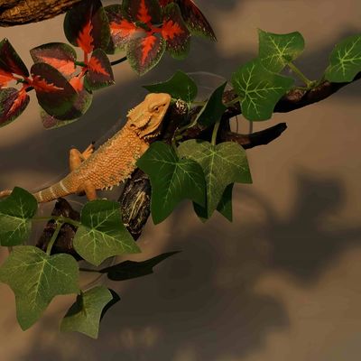 FurryFusion Ramas decorativas para terrarios de reptiles