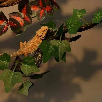 FurryFusion Décoratif en branches pour terrarium de reptiles