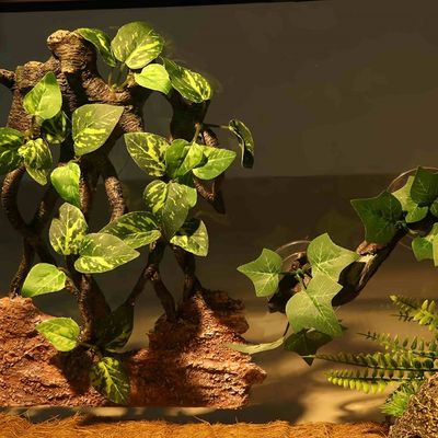 FurryFusion Ramas decorativas para terrarios de reptiles