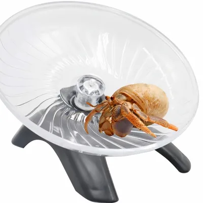 FurryFusion Roue de jeu pour crabe hamster FurryFusion Roue de jeu pour crabe hamster