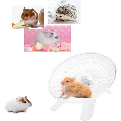 ZooVenture Roue Hamster Frisbee Silence Bleu ZooVenture Roue Hamster Frisbee Silence Bleu