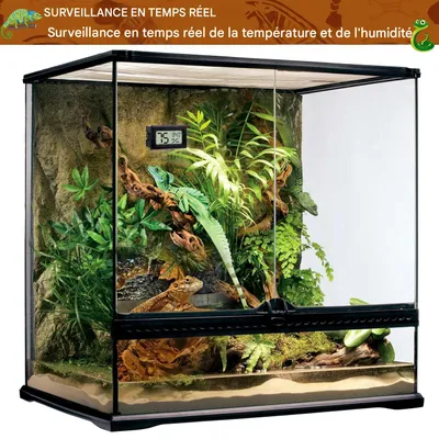 ZooVenture Thermomètre Reptile - Numérique, 2 Pièces, LED