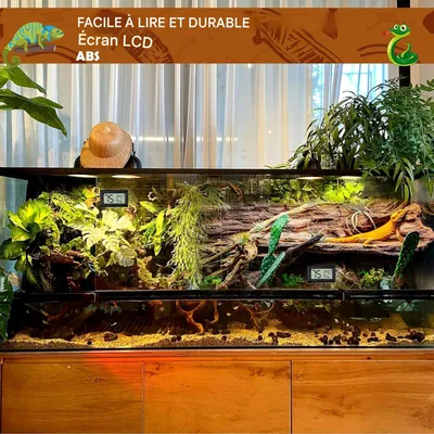 ZooVenture Thermomètre Reptile - Numérique, 2 Pièces, LED
