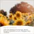 Supravit Sonnenblumenkerne gestreift