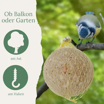 Orni Riesen Meisenknödel mit Insekten