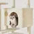 Yaheetech Arbre à Chat Multiniveau Yaheetech Arbre à Chat Multiniveau