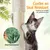 Yaheetech Arbre à Chat Multiniveau Yaheetech Arbre à Chat Multiniveau