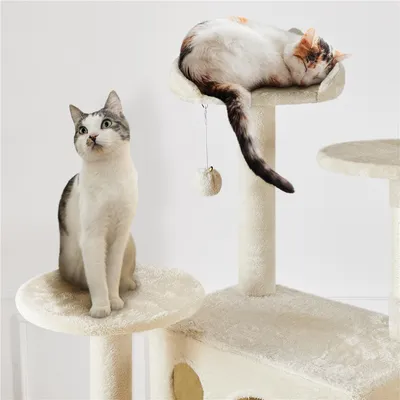 Yaheetech Arbre à Chat Multiniveau Yaheetech Arbre à Chat Multiniveau