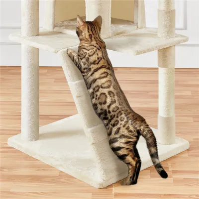 Yaheetech Arbre à Chat Multiniveau Yaheetech Arbre à Chat Multiniveau