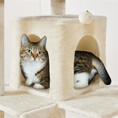 Yaheetech Arbre à Chat Multiniveau Yaheetech Arbre à Chat Multiniveau
