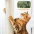 Yaheetech Arbre à Chat Multiniveau