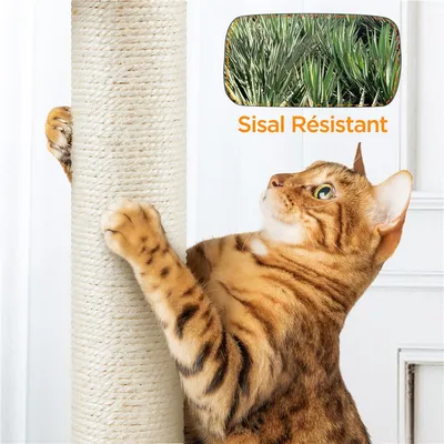 Yaheetech Arbre à Chat Multiniveau
