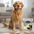 Lyra Pet® Poitrine de poulet lyophilisée