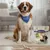 Lyra Pet® Magret de canard lyophilisée