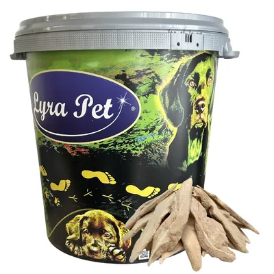 Lyra Pet® Magret de canard lyophilisée