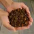 Lyra Pet® mélange découverte d’insectes séché Lyra Pet® mélange découverte d’insectes séché