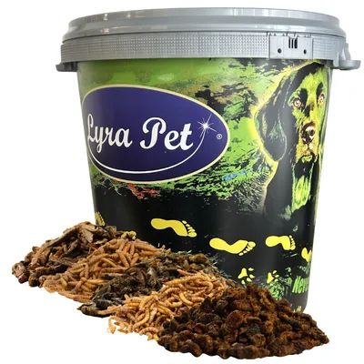 Lyra Pet® Mélange découverte d’insectes séché Lyra Pet® Mélange découverte d’insectes séché