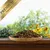 Lyra Pet® mélange découverte d’insectes séché Lyra Pet® mélange découverte d’insectes séché