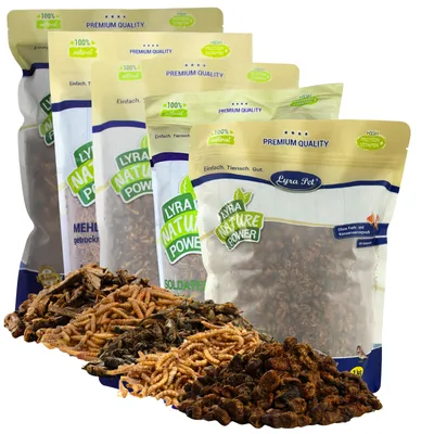 Lyra Pet® Mélange découverte d’insectes séché Lyra Pet® Mélange découverte d’insectes séché