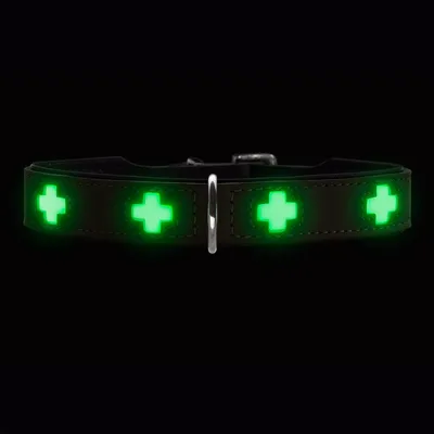 HUNTER collier pour chien Swiss Glow HUNTER collier pour chien Swiss Glow