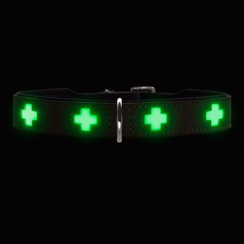 HUNTER collier pour chien Swiss Glow