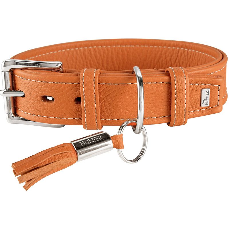 HUNTER collier pour chien Cannes