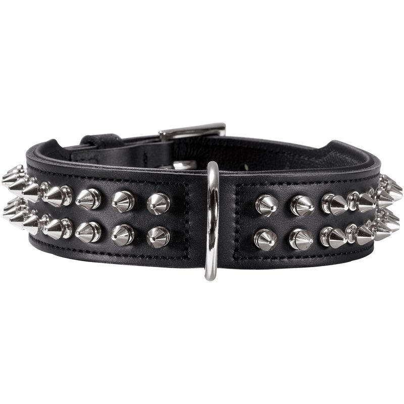 HUNTER collier pour chien Rambo