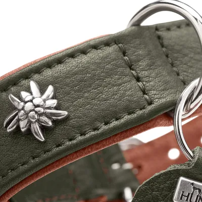 HUNTER collier pour chien München HUNTER collier pour chien München