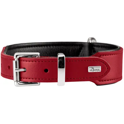 HUNTER collier pour chien Basic HUNTER collier pour chien Basic