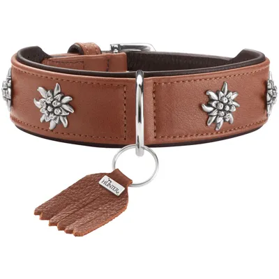 HUNTER collier pour chien München HUNTER collier pour chien München