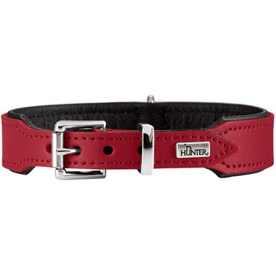 HUNTER collier pour chien Basic