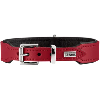 HUNTER collier pour chien Basic HUNTER collier pour chien Basic